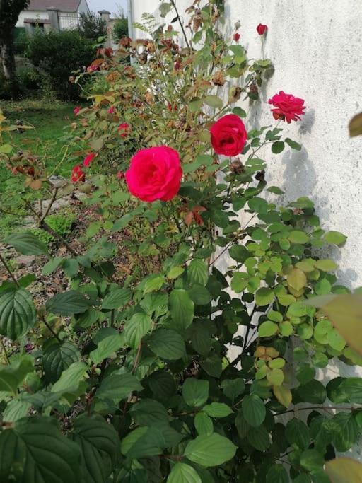 : Les Flambeaux Holiday home Mareuil-en-Brie